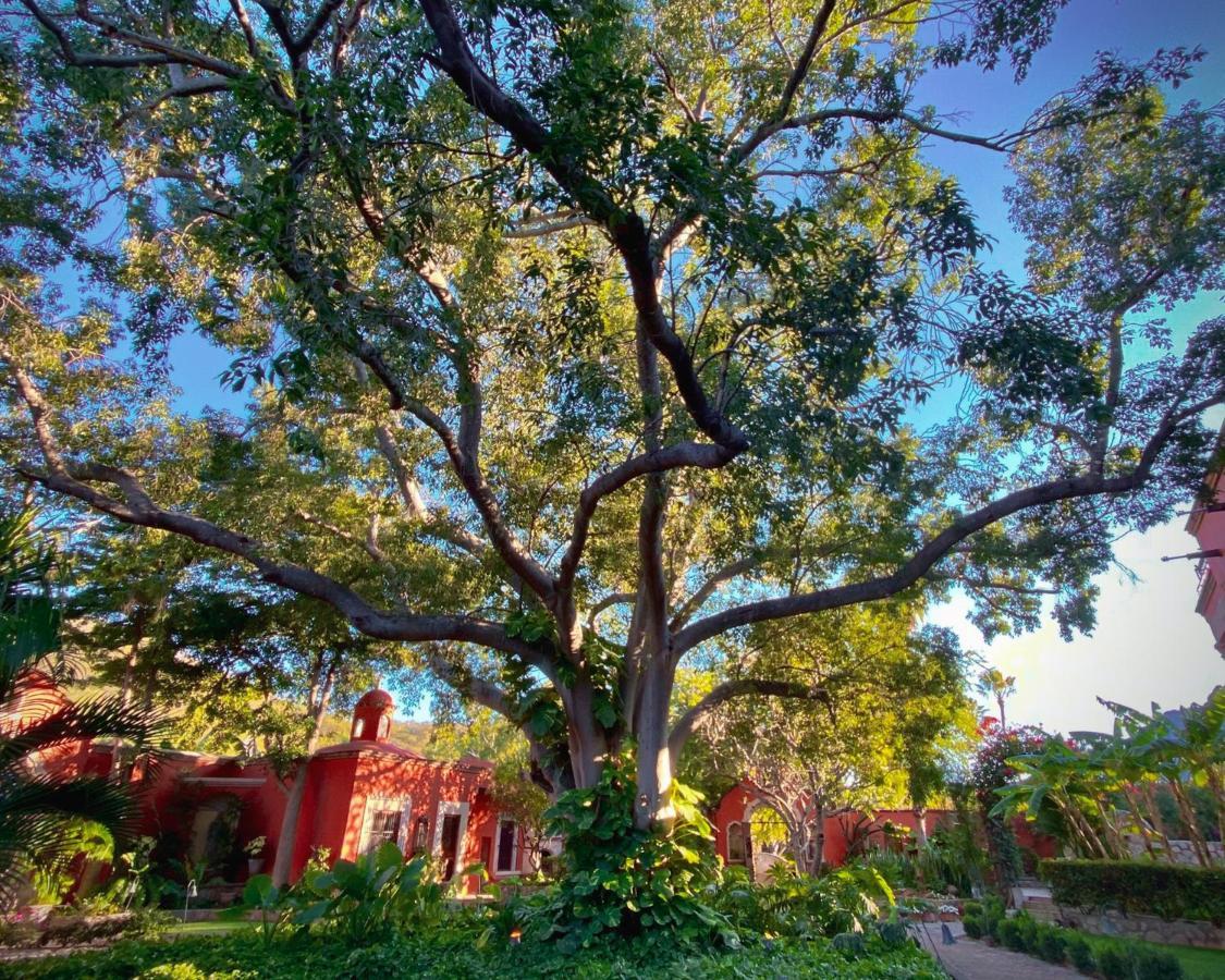 Hacienda De Los Santos อาลามอส ภายนอก รูปภาพ