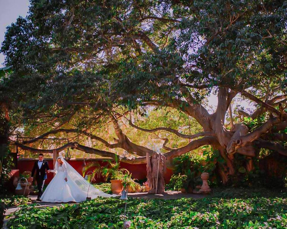 Hacienda De Los Santos อาลามอส ภายนอก รูปภาพ